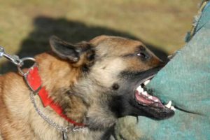 personal injury law